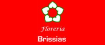 FLORERÍA BRISSIAS